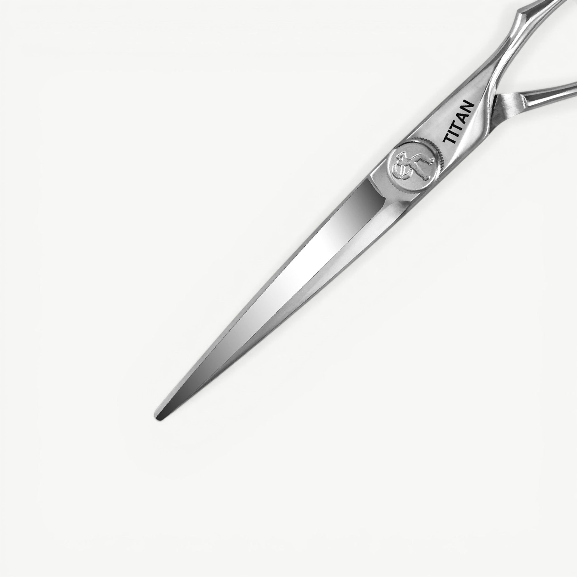 Titan 6.5" TT65 Japanese Steel Hair Cutting Scissors